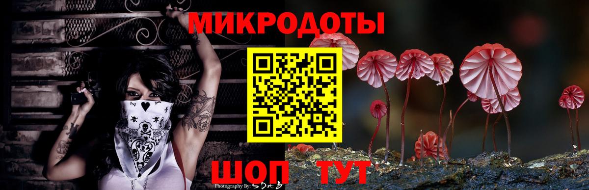 Псилоцибиновые грибы прущие грибы Димитровград